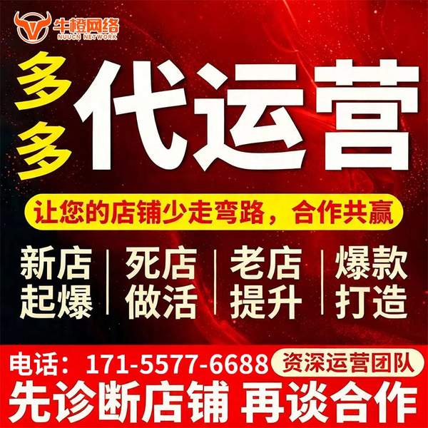 西宁电商代运营