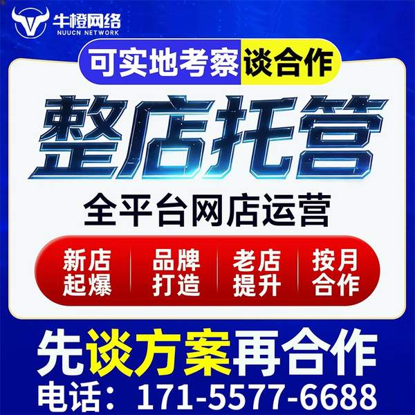 西宁电商代运营
