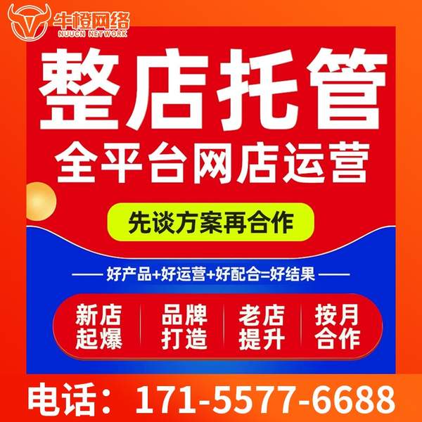 西宁电商代运营