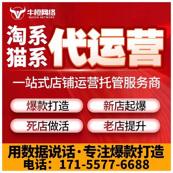 西宁电商代运营